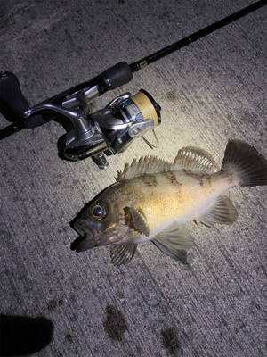 テスト明けの至福タイム