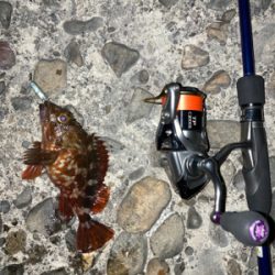 仕事終わりにサクッと