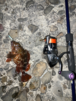 仕事終わりにサクッと