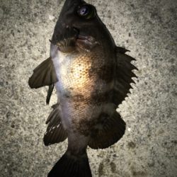 2021ライトゲーム第5戦