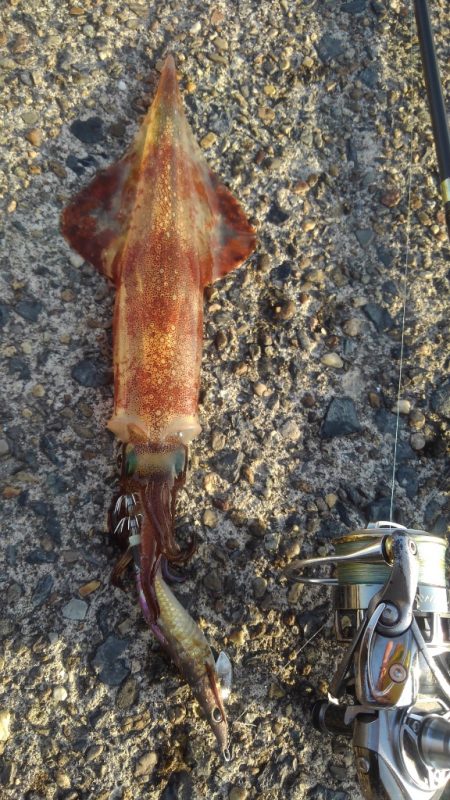 あ、花粉が？？