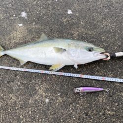 大雪の堤防でもヘッポコジャーク！