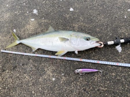 大雪の堤防でもヘッポコジャーク！