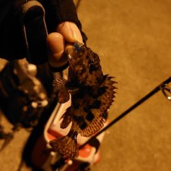 ライトゲームで三目