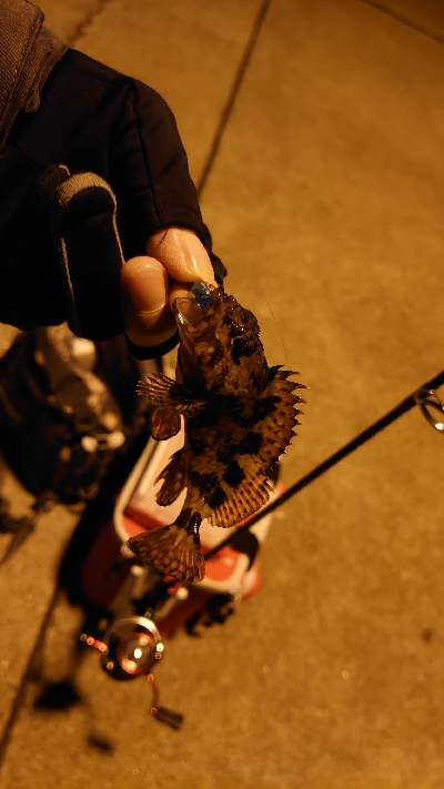 ライトゲームで三目