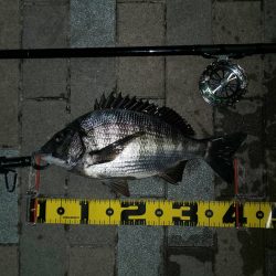 朝練　～さざなみ公園～