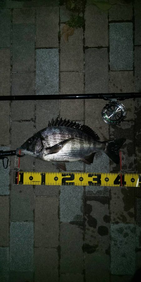 朝練　～さざなみ公園～