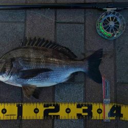 干潮前に　～さざなみ公園～