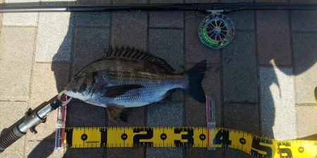 干潮前に　～さざなみ公園～