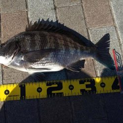 リベンジ　～さざなみ公園～