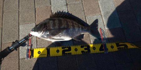 リベンジ　～さざなみ公園～