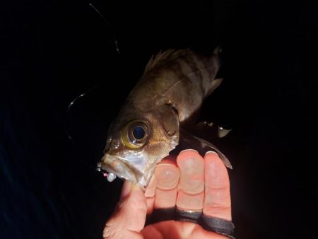 短時間メバリング