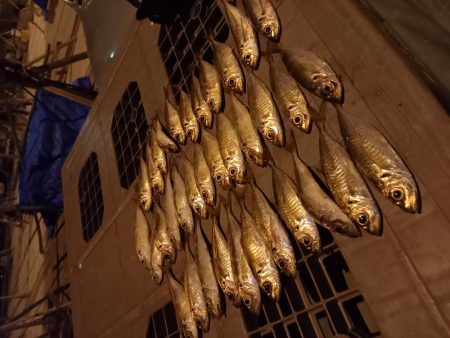 どうしてもアジが釣りたくて