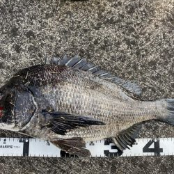 イチノ巨乳、釣果!