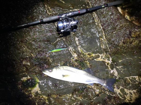 ゴロタでシーバス1本勝負！