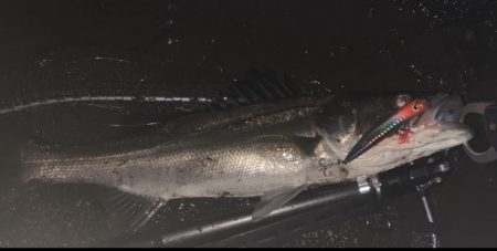 バチ抜け系パターン