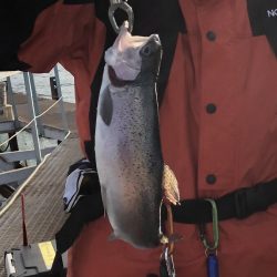 春よこい。まだ寒い