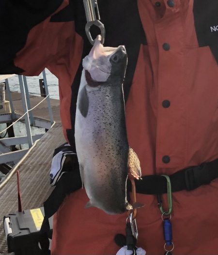 春よこい。まだ寒い