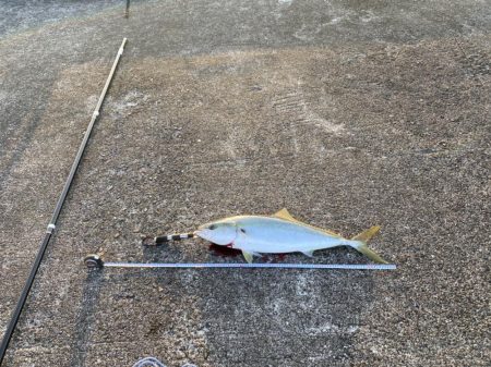 ヘッポコジャークでポコポコブリブリ！