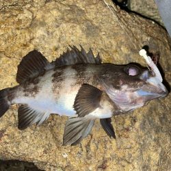 メバリング修行