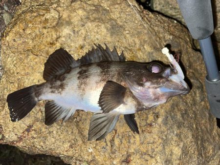 メバリング修行