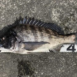 イチノ兄弟、釣果！