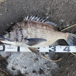 イチノ兄弟、釣果！