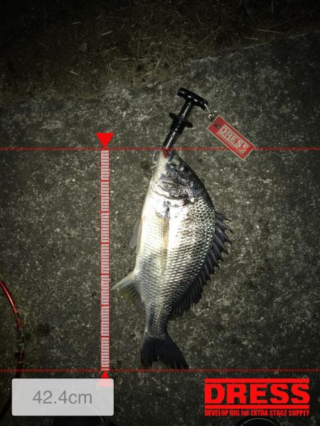 西宮キビレ数は居る