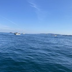 タチウオテンヤ