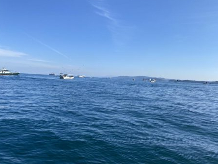 タチウオテンヤ