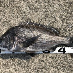 イチノ兄弟、釣果！