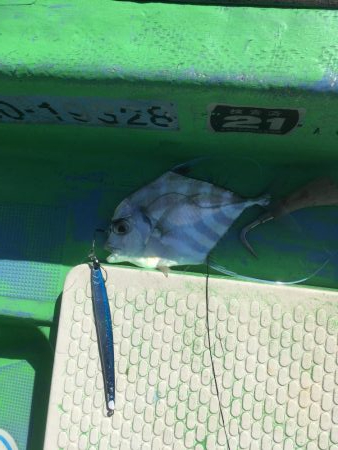 ジギングで珍魚イトヒキアジ