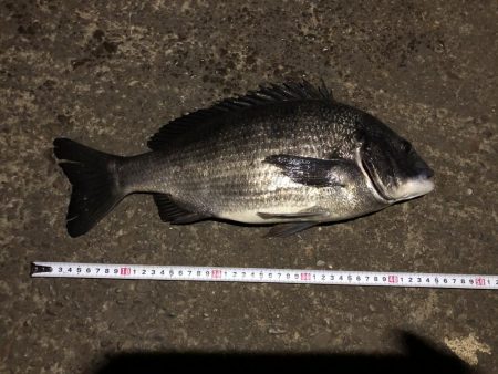 まあまあのマチヌ