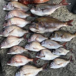 渋すぎて釣れない