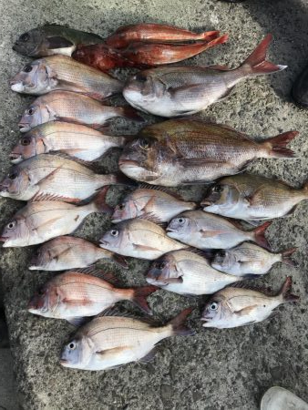 渋すぎて釣れない