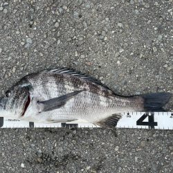 イチノ兄弟、釣果!