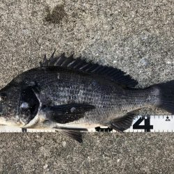 イチノ兄弟、釣果！