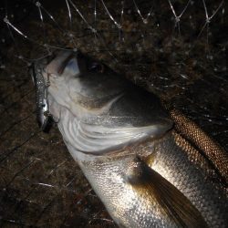 爆風で不利…。