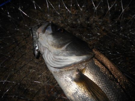 爆風で不利…。