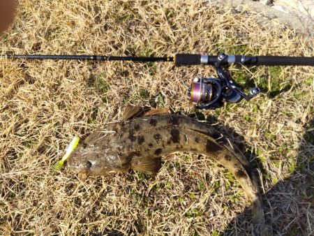 フラットフィッシュゲームNo.8