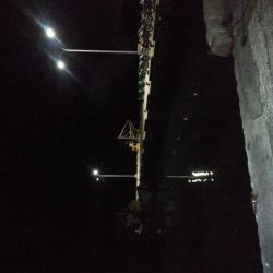 暖かく風も無いので