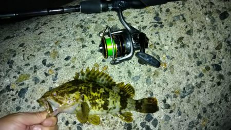 冬の根魚調査17