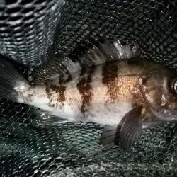 いい感じの流れ