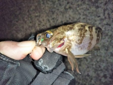 釣りは難しい・・・