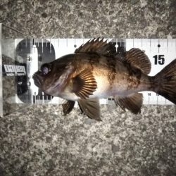 フロートリグでメバリング