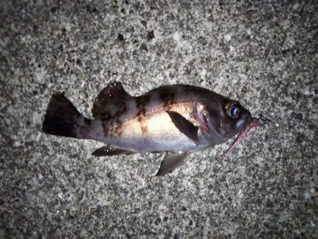 何をやってもダメ