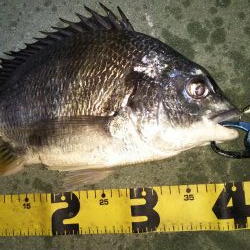 ぶら河川調査！！