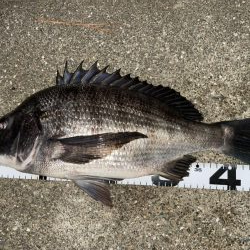 イチノ兄弟、釣果！