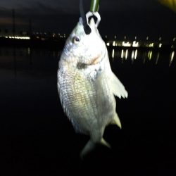 メタルバイブで