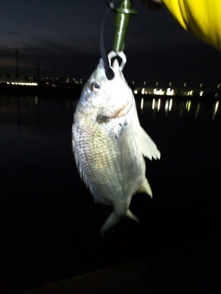 メタルバイブで